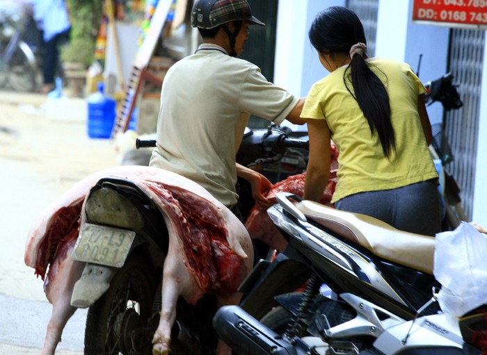 Những chú lợn đã qua lò mổ được chở đi giao tại các chợ đầu mối hoặc các chợ nhỏ, người buôn thịt khắp thành phố